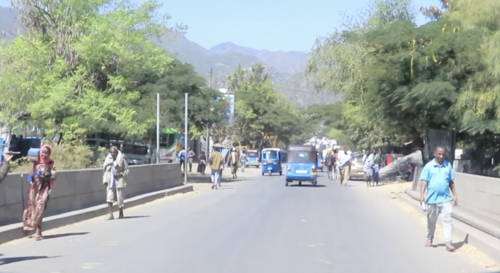 Alamata