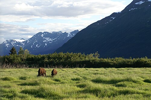 Anchorage