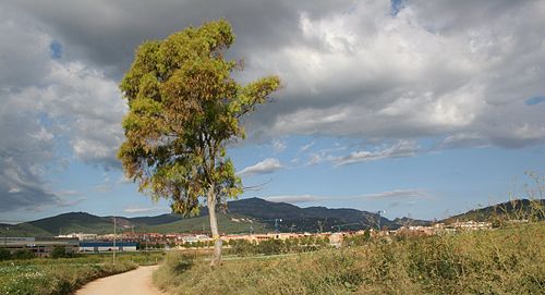Castellar del Vallès