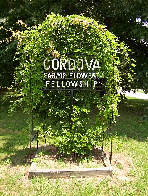 Cordova