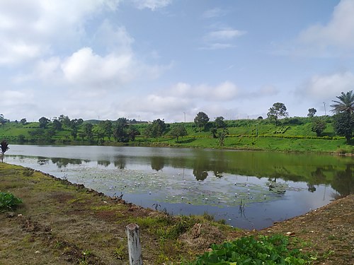 Dschang