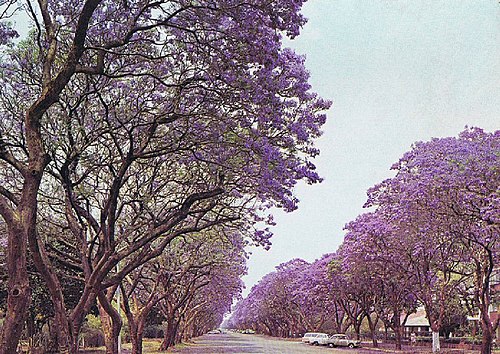 Harare