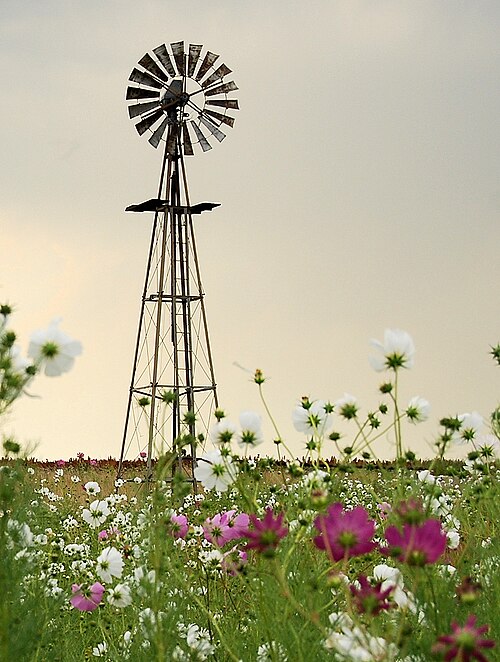 Heilbron