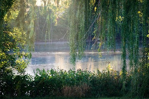 Homer Glen