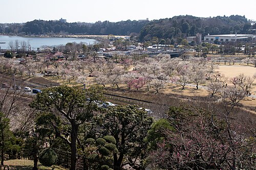 Ibaraki, Japan Ibaraki