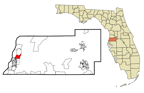 Jasmine Estates FL, United States Jasmine Estates