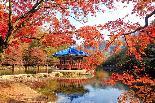 Jeongeup