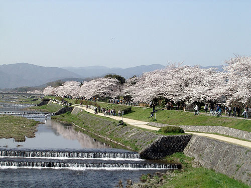 Kamo