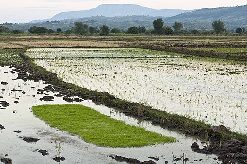 Karonga, Malawi Karonga