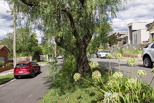Kew
