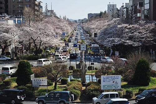 Kunitachi, Japan Kunitachi