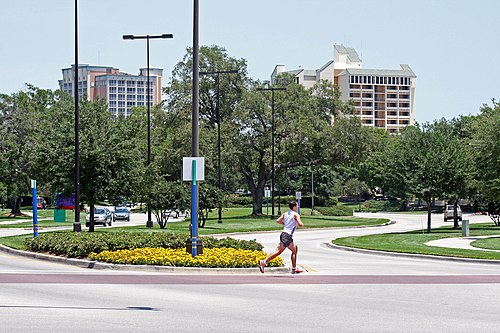 East Lake FL, United States East Lake
