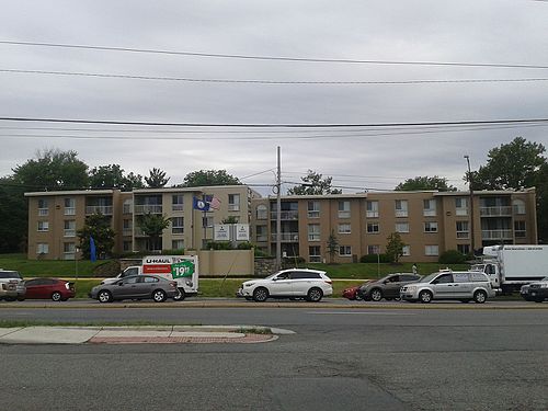 Lincolnia