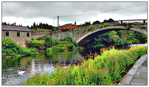 Lucan