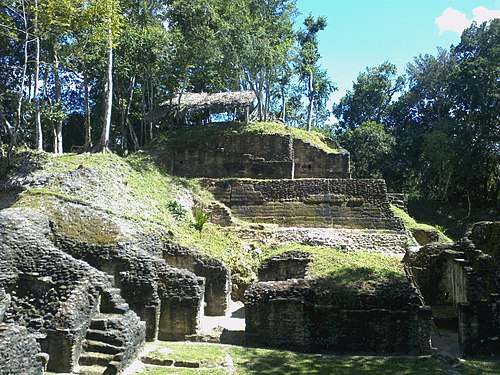 Naranjos