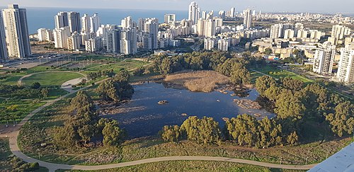 Netanya