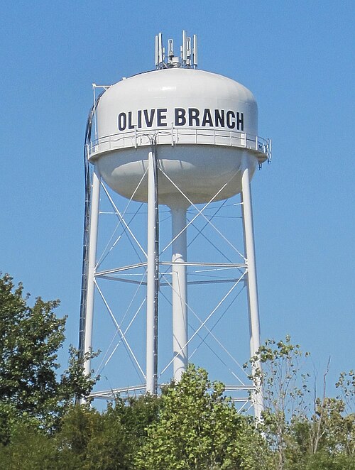 Olive Branch