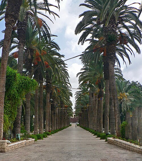 Rishon LeTsiyyon