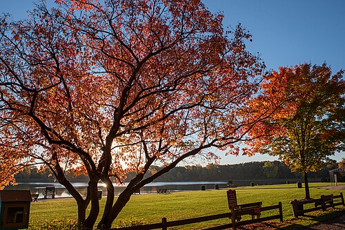 Rochester Hills MI, United States Rochester Hills