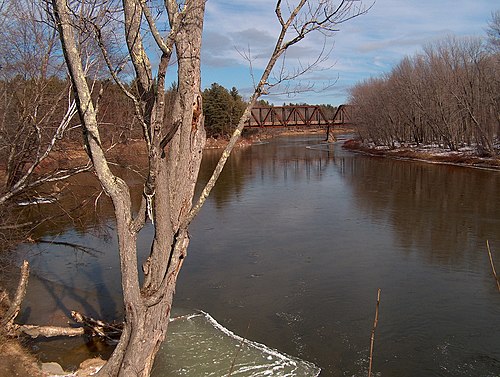 Saco