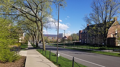 State College