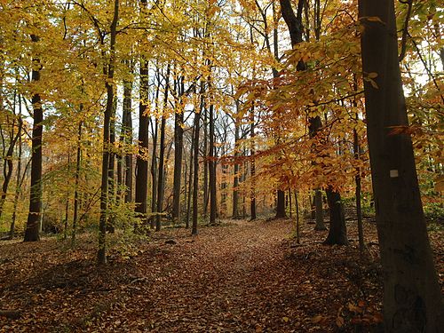Summit NJ, United States Summit