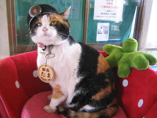 Tama