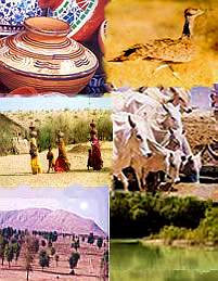 Tando Allahyar, Pakistan Tando Allahyar