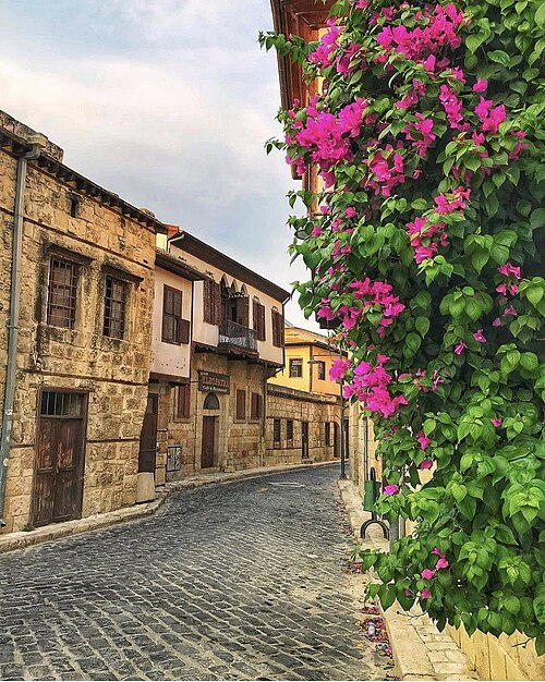 Tarsus