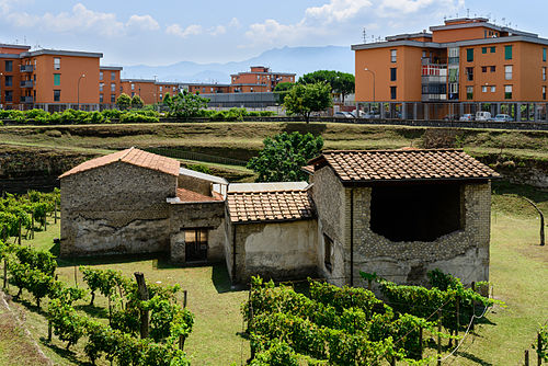 Boscoreale, Italy Boscoreale