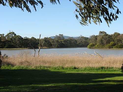 Wheelers Hill