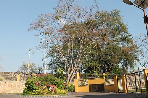 Yautepec